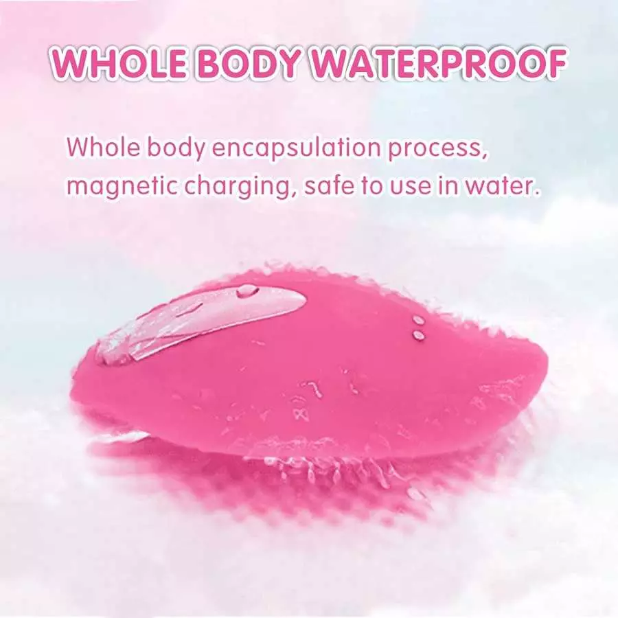 10 Kinds Vibration Wearable Panty,Clit Butterfly Vibrator with Remote Control, Rechargeable Waterproof Vibrator for Women,Pink