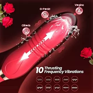 Rose Toy Vibrator for Woman, 4 in 1 Toys Sex Pleasure with 10 Modes Tongue Licking, Thrusting & Vibrating, Adult Sex Toys Rose T Rose Toy Vibrator for Woman, 4 in 1 Toys Sex Pleasure with 10 Modes Tongue Licking, Thrusting & Vibrating, Adult Sex Toys Rose T
