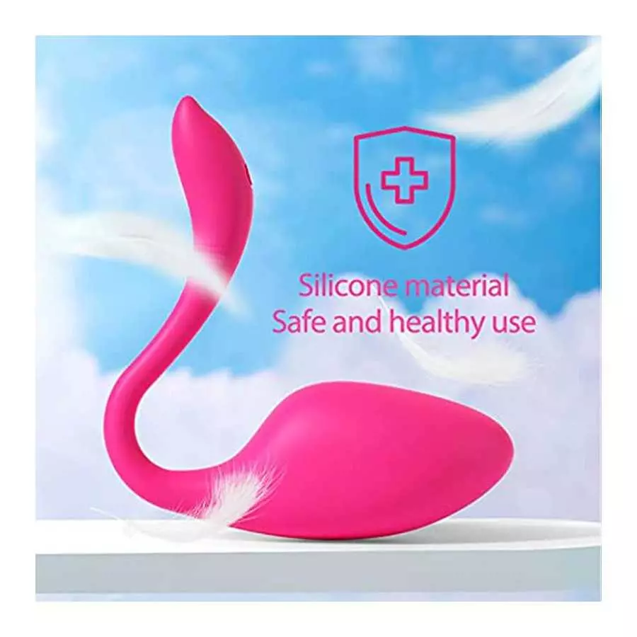 Bullet Vibrator, Wearable Panty G-spot Vibrator Dildo with APP Control- Kegel Pelvic Floor Trainer - 9 Models, Mini Egg Style Vi