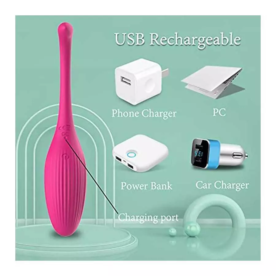 App Control Clitoral G-spot Vibrator, Wearable Panty Clit Egg Vibrators Vaginal Anal Stimulator with 9 Vibration Modes, Recharge