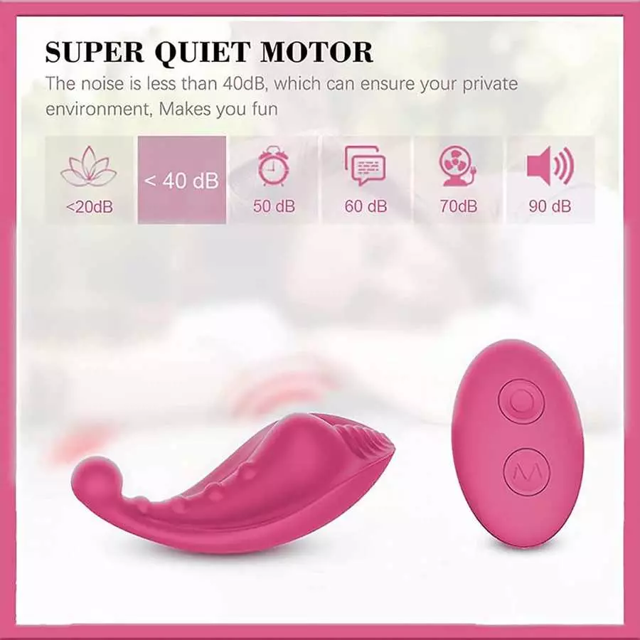 Wearable Panty Vibrator, 10 Speed Vibrating Egg Stimulator Wireless Remote Control Massager Female Masturbator Adult Sex Toys,Pi
