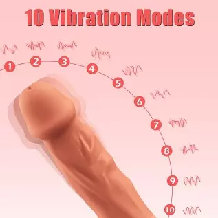 Realistic Dildo Vibrator, DANKIS G-spot Vibrator for Women's Sex, Dildos Adult Sex Toys with 10 Vibration Modes, Adult Pleasure Realistic Dildo Vibrator, DANKIS G-spot Vibrator for Women's Sex, Dildos Adult Sex Toys with 10 Vibration Modes, Adult Pleasure