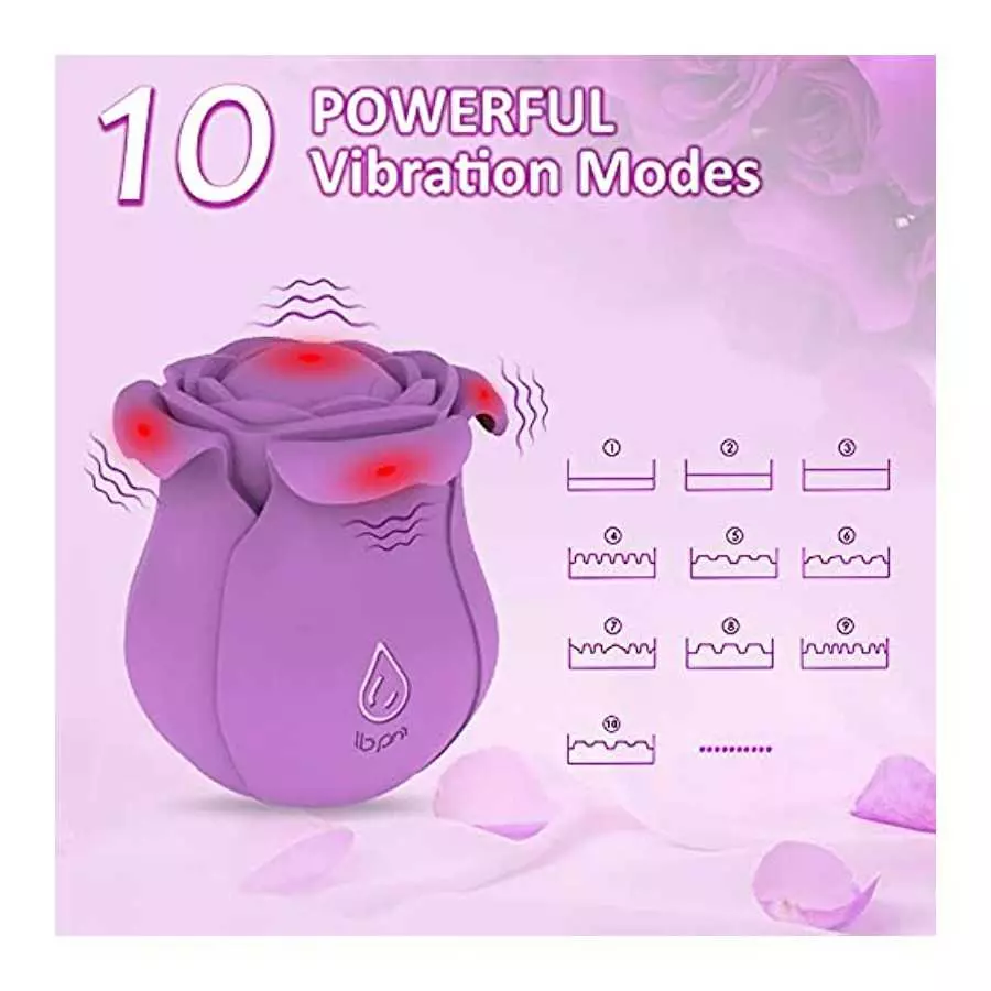 Pulsating Rose Sex Stimulator for Women,10 Modes Clitoralis Vibrator with 4 Vibrating Petals for Woman Self Pleasuring,Purple Wa