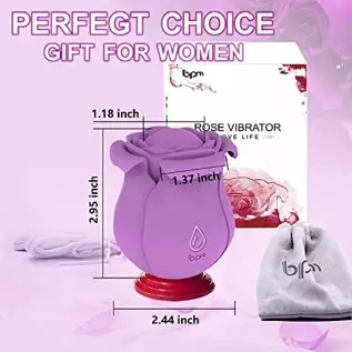 Pulsating Rose Sex Stimulator for Women,10 Modes Clitoralis Vibrator with 4 Vibrating Petals for Woman Self Pleasuring,Purple Wa