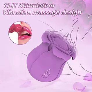 Pulsating Rose Sex Stimulator for Women,10 Modes Clitoralis Vibrator with 4 Vibrating Petals for Woman Self Pleasuring,Purple Wa