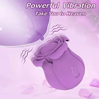 Pulsating Rose Sex Stimulator for Women,10 Modes Clitoralis Vibrator with 4 Vibrating Petals for Woman Self Pleasuring,Purple Wa