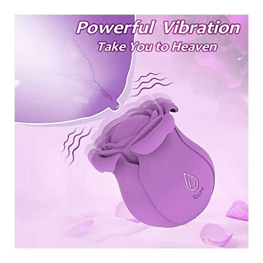 Pulsating Rose Sex Stimulator for Women,10 Modes Clitoralis Vibrator with 4 Vibrating Petals for Woman Self Pleasuring,Purple Wa