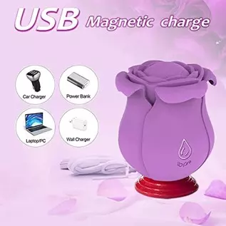 Pulsating Rose Sex Stimulator for Women,10 Modes Clitoralis Vibrator with 4 Vibrating Petals for Woman Self Pleasuring,Purple Wa