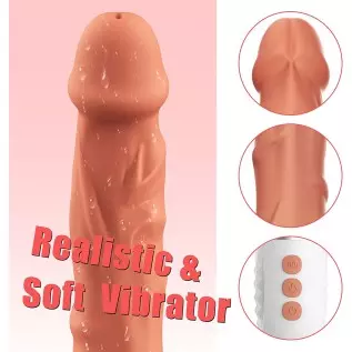 Realistic Dildo Vibrator, DANKIS G-spot Vibrator for Women's Sex, Dildos Adult Sex Toys with 10 Vibration Modes, Adult Pleasure Realistic Dildo Vibrator, DANKIS G-spot Vibrator for Women's Sex, Dildos Adult Sex Toys with 10 Vibration Modes, Adult Pleasure