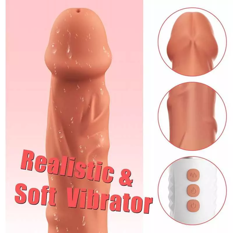 Realistic Dildo Vibrator, DANKIS G-spot Vibrator for Women's Sex, Dildos Adult Sex Toys with 10 Vibration Modes, Adult Pleasure 