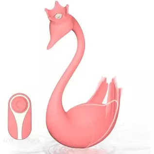 Wearable Panty Vibrator with Remote Control, G Spot Egg Vibrator Clit Nipple Stimulator with 8 Vibrations, Swan Pink Vibrating B