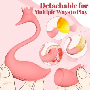 Wearable Panty Vibrator with Remote Control, G Spot Egg Vibrator Clit Nipple Stimulator with 8 Vibrations, Swan Pink Vibrating B Wearable Panty Vibrator with Remote Control, G Spot Egg Vibrator Clit Nipple Stimulator with 8 Vibrations, Swan Pink Vibrating B