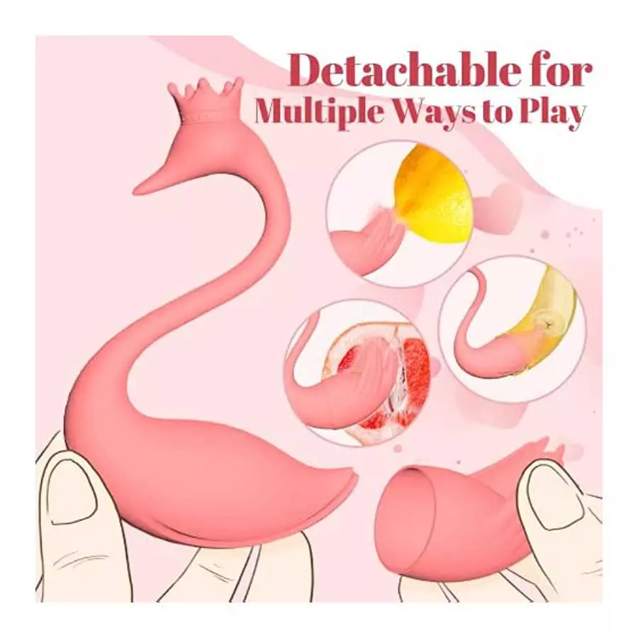 Wearable Panty Vibrator with Remote Control, G Spot Egg Vibrator Clit Nipple Stimulator with 8 Vibrations, Swan Pink Vibrating B