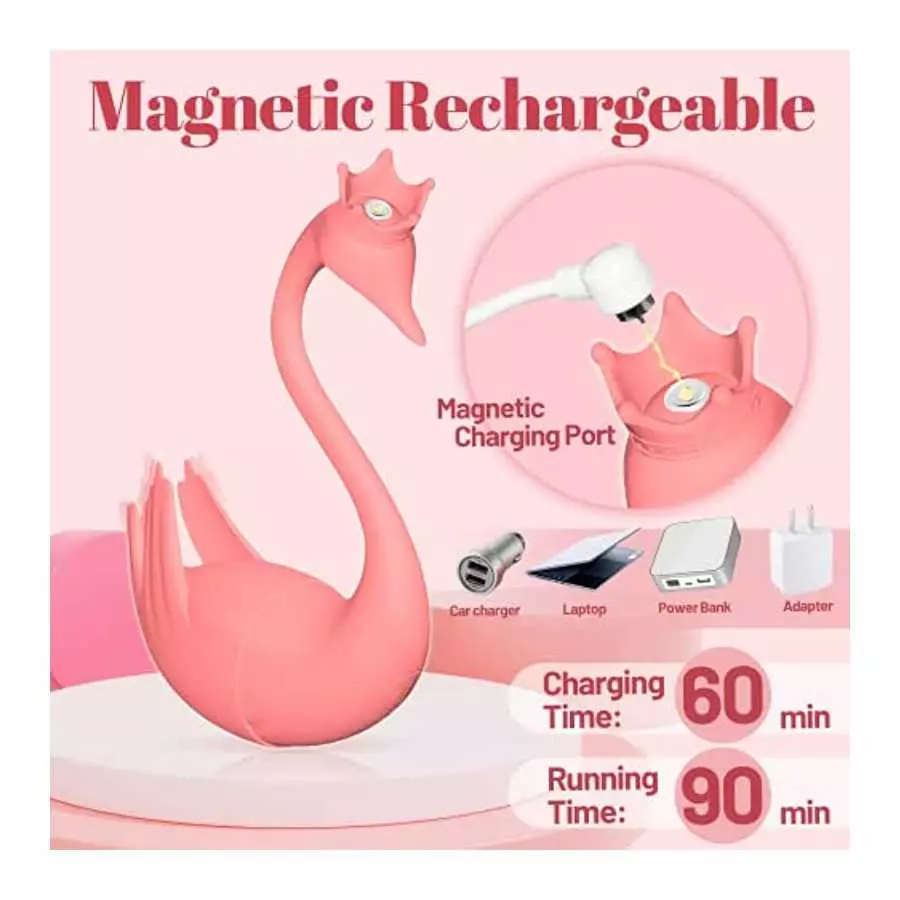 Wearable Panty Vibrator with Remote Control, G Spot Egg Vibrator Clit Nipple Stimulator with 8 Vibrations, Swan Pink Vibrating B
