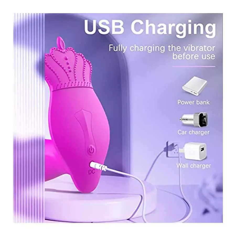 Wearable Vibrator for Women, Panty Vibrators Adult Sex Toys, 10 Vibration Modes Sex Toy G Spot Vibrators, Rechargeable & Water P