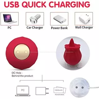 Rose Toy Vibrator for Woman, Rose Vibrator Clitoral One-Button Control 7 Lick-Vibrating Toys, Mini Rose Vibrator for Women Mastu Rose Toy Vibrator for Woman, Rose Vibrator Clitoral One-Button Control 7 Lick-Vibrating Toys, Mini Rose Vibrator for Women Mastu