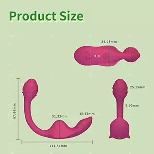 Wearing vibrator、 female G-spot wireless remote control vibrator、couple vibrator toys silicone massage vibrator、 male and female