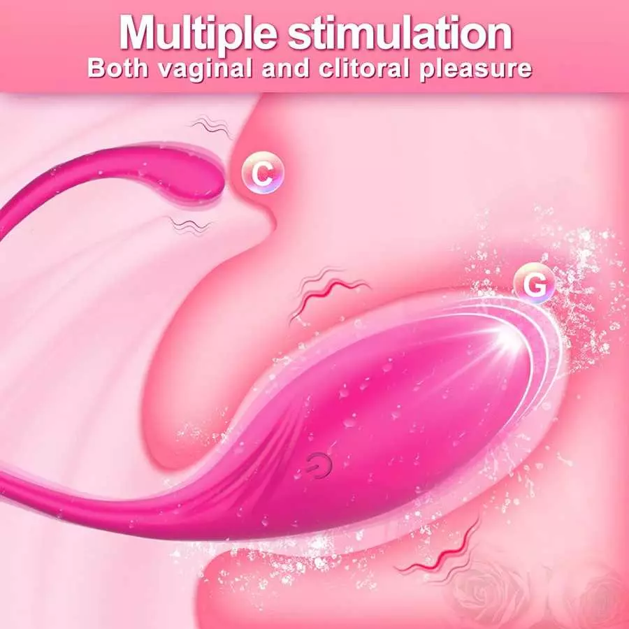 Adult Sex Toys Women Sex Toy-Bluetooth Wearable Panty Couple Dildo Vibrator with 9 Vibrations,Rechargeable APP and Remote Contro
