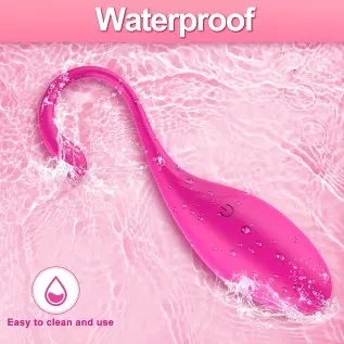 Adult Sex Toys Women Sex Toy-Bluetooth Wearable Panty Couple Dildo Vibrator with 9 Vibrations,Rechargeable APP and Remote Contro