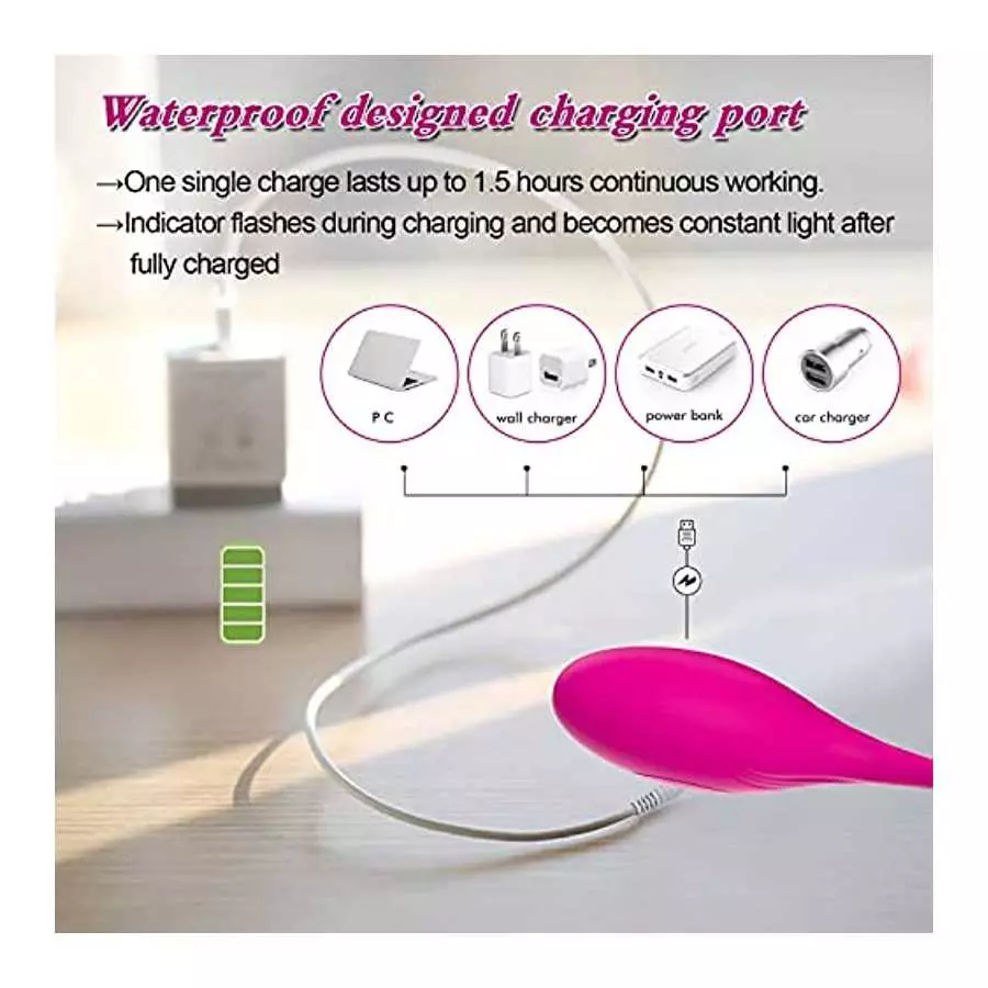 Wearable Panty G-spot Vibrator Dildo with APP Control 2023 TASHILONG Long Distance Silicone Vibrating Panties Vaginal Stimulator