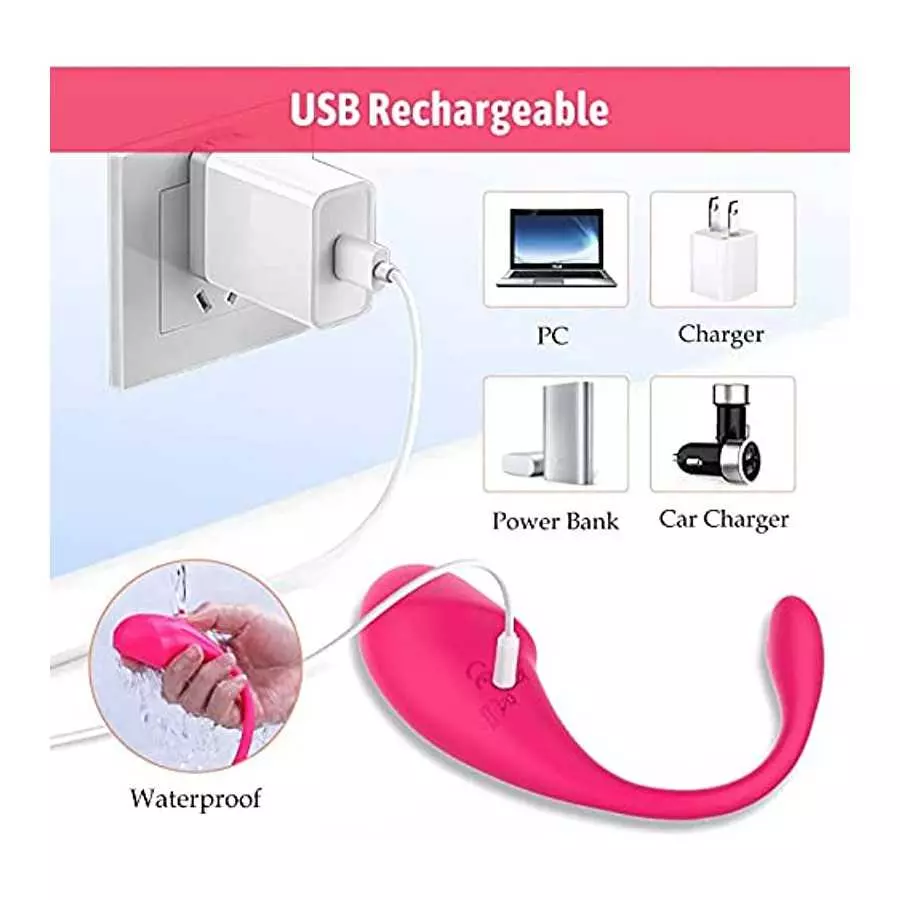 Wearable Panty G-spot Vibrator Dildo with APP Control 2023 TASHILONG Long Distance Silicone Vibrating Panties Vaginal Stimulator