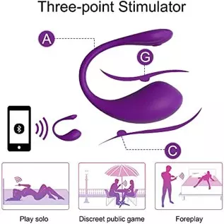 Bullet Vibrator for Women with APP Remote Control, Wearable Panty Vibertator for Couple 9 Powerful Vibration Modes, Waterproof R