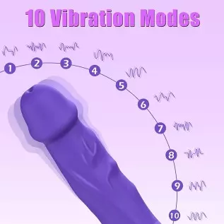 Realistic Dildo Vibrator, DANKIS G-spot Vibrator for Women's Sex, Adult Toys Dildos with 10 Vibration Modes, Heating Vibrators T