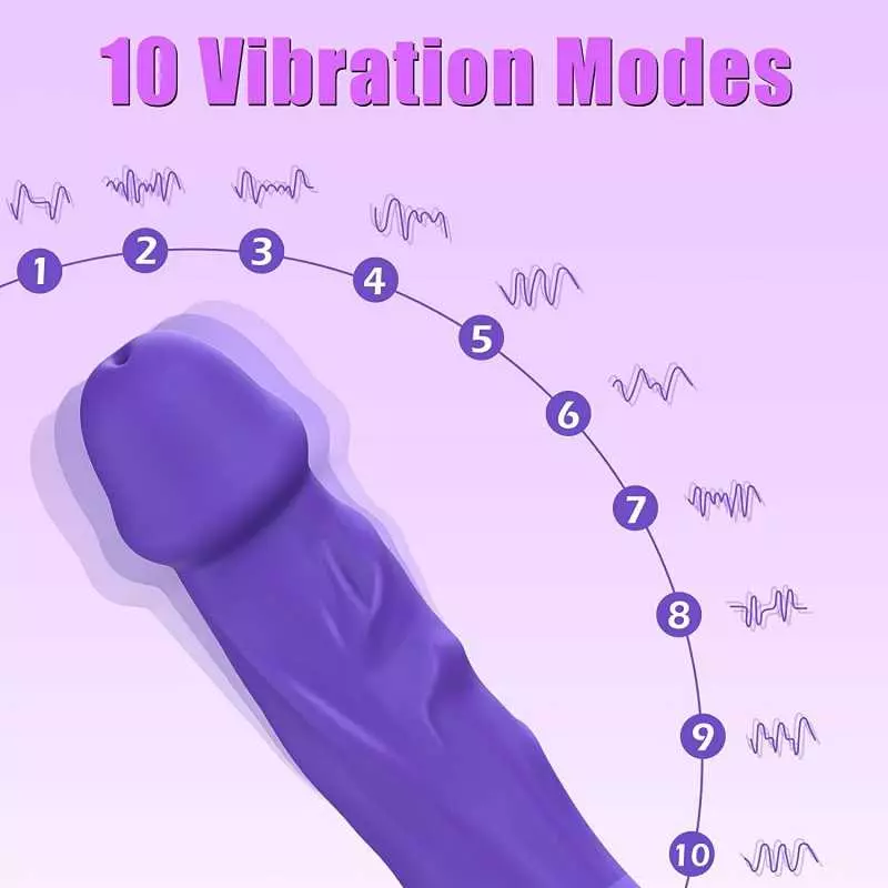 Realistic Dildo Vibrator, DANKIS G-spot Vibrator for Women's Sex, Adult Toys Dildos with 10 Vibration Modes, Heating Vibrators T