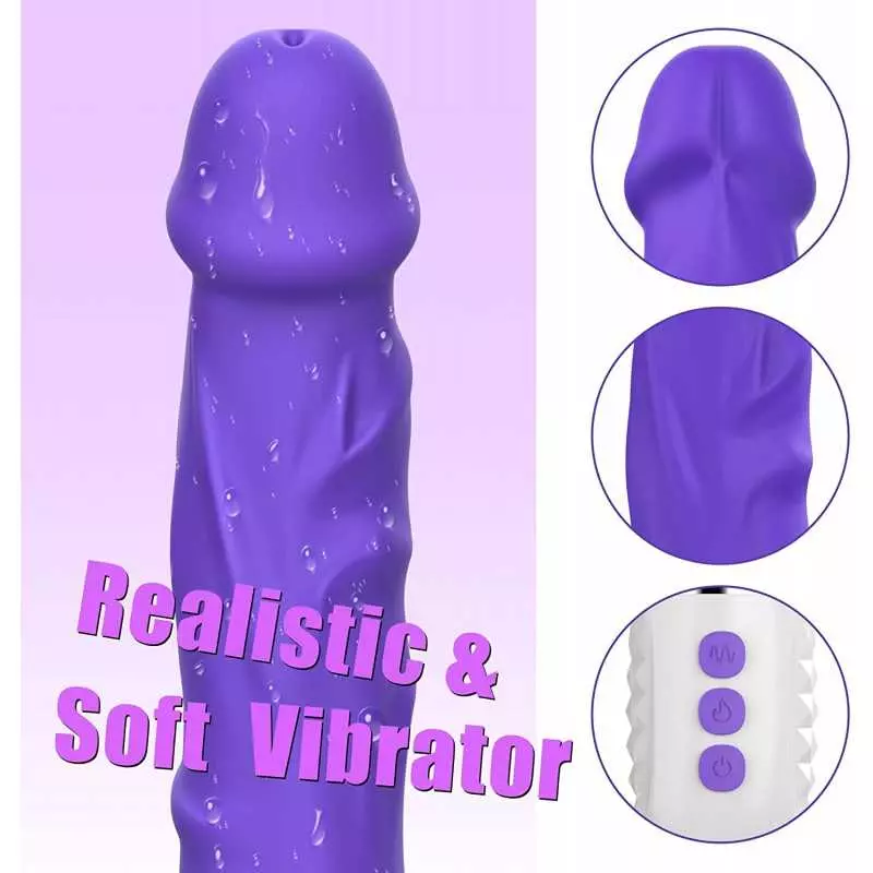 Realistic Dildo Vibrator, DANKIS G-spot Vibrator for Women's Sex, Adult Toys Dildos with 10 Vibration Modes, Heating Vibrators T