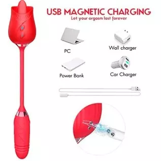 The Rose Sex Toy Vibrator for Women,3 in 1 Clitoris Vibrators Stimulator for Couples and Lovers Pleasure,Magnetic Rechargeable P The Rose Sex Toy Vibrator for Women,3 in 1 Clitoris Vibrators Stimulator for Couples and Lovers Pleasure,Magnetic Rechargeable P