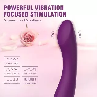 SVAKOM G Spot Vibrator for Women Clitoral Stimulator, Dildo Vibrator for Sex Women with 25 Playful Vibration Pattern, G-Spot Vib SVAKOM G Spot Vibrator for Women Clitoral Stimulator, Dildo Vibrator for Sex Women with 25 Playful Vibration Pattern, G-Spot Vib
