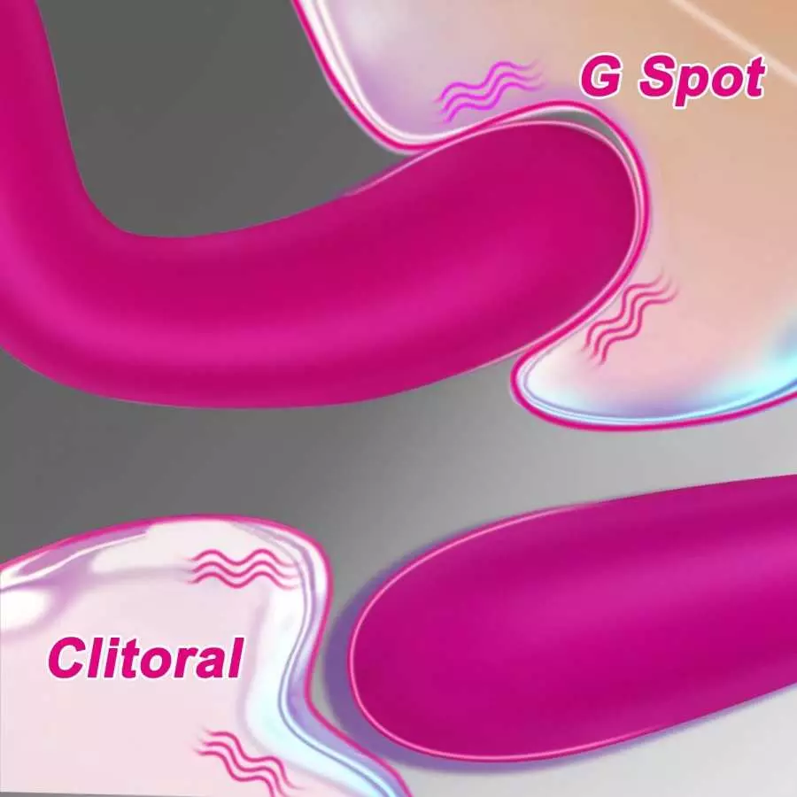 G Spot Vibrator for Women Vaginal Stimulation,Rechargeable Dildo Vibrator with Multiple Vibrations,Personal Adult Sex Toy for Wo