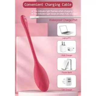 Bullet Dildo Vibrator Sex Toy Rose Vibrators Sex Toys,Video App Remote Control with 9 Music Modes,Silicone Waterproof Magnetic C