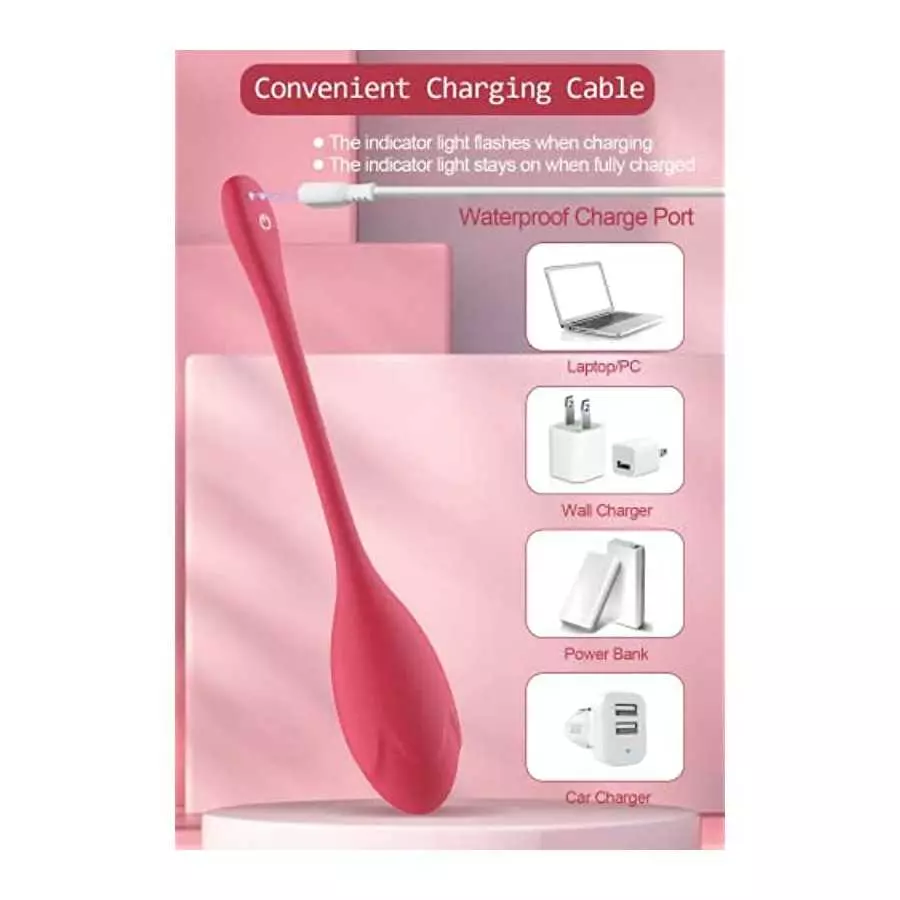 Bullet Dildo Vibrator Sex Toy Rose Vibrators Sex Toys,Video App Remote Control with 9 Music Modes,Silicone Waterproof Magnetic C