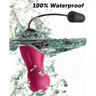 G Spot Clitoral Vibrator - SEXY SLAVE Waterproof 10X Rechargeable Remote Bullet Vibrator - Vibrating Egg for Women, Rose and Bla G Spot Clitoral Vibrator - SEXY SLAVE Waterproof 10X Rechargeable Remote Bullet Vibrator - Vibrating Egg for Women, Rose and Bla