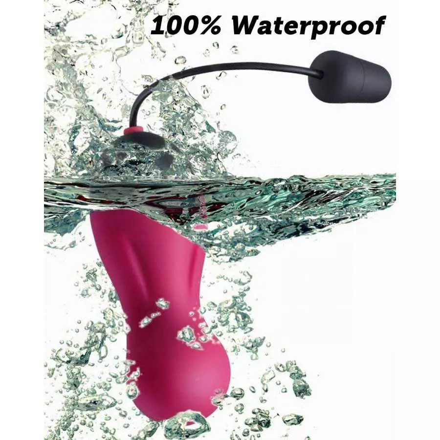 G Spot Clitoral Vibrator - SEXY SLAVE Waterproof 10X Rechargeable Remote Bullet Vibrator - Vibrating Egg for Women, Rose and Bla