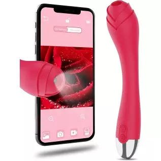 Wireless Visual Rose Vibrator with HD Camera for Female Body Explore, Clitoral Nipple Stimulator G-Spot Dildo Vibrator with 6 Vi