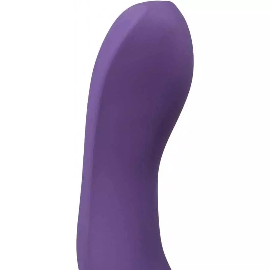We-Vibe Rave G-spot Stimulator, Purple