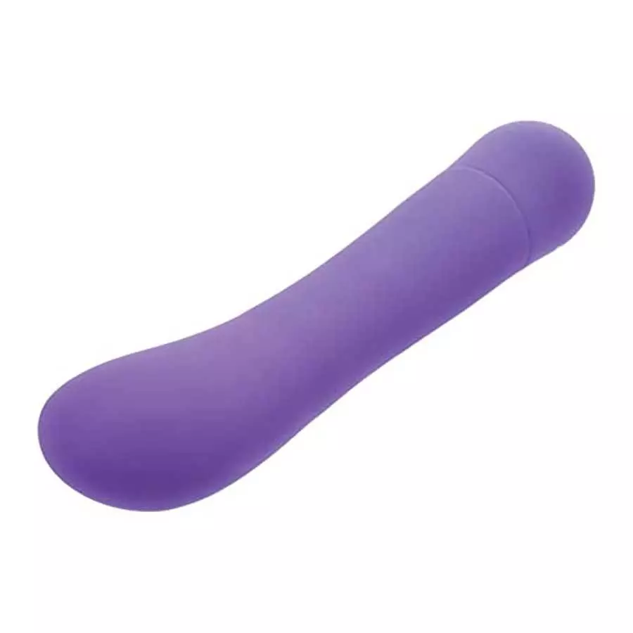 EVE'S Orgasmic G - 10 Speed Waterproof Silicone G-Spot Vibrator - Purple
