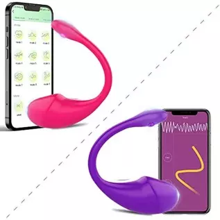 Bullet Vibrator and Wearable Panty G-spot Vibrator