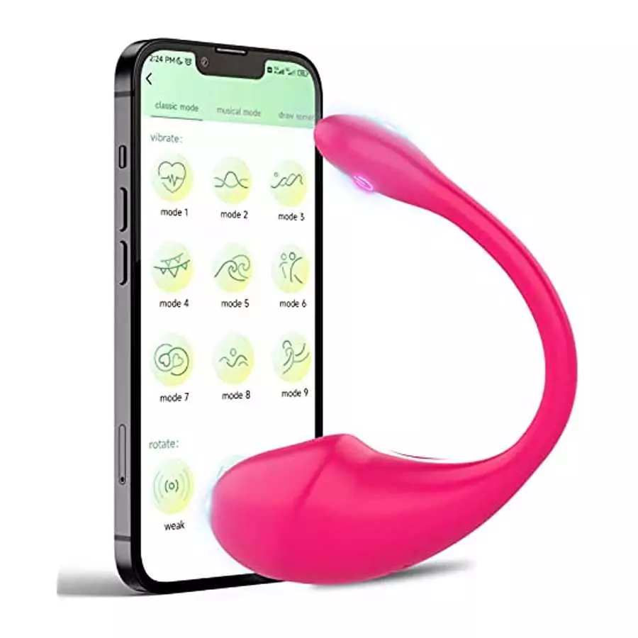 Bullet Vibrator and Wearable Panty G-spot Vibrator