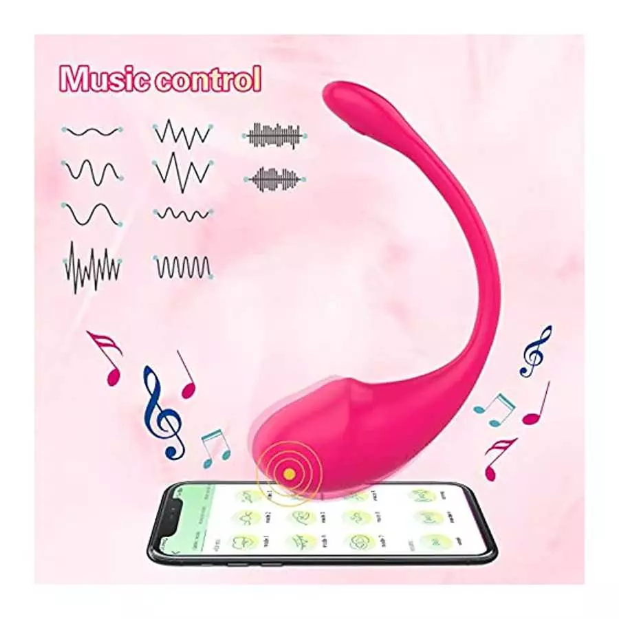 Bullet Vibrator and Wearable Panty G-spot Vibrator