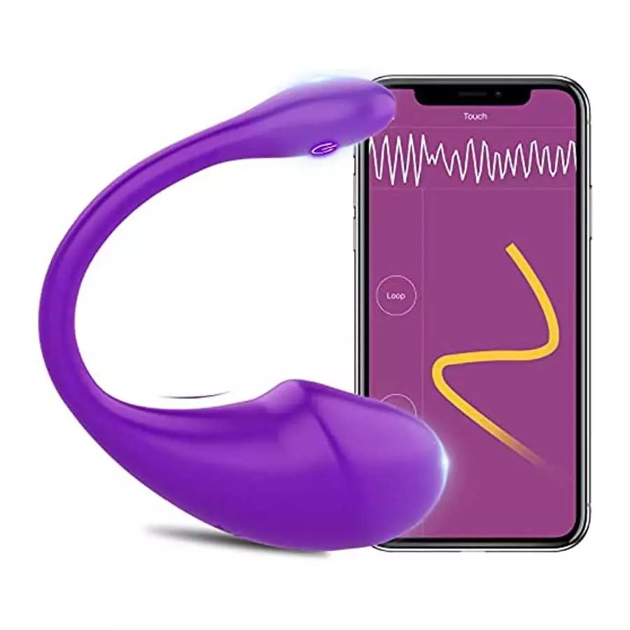 Bullet Vibrator and Wearable Panty G-spot Vibrator
