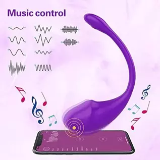 Bullet Vibrator and Wearable Panty G-spot Vibrator Bullet Vibrator and Wearable Panty G-spot Vibrator