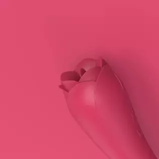 Rose Sex,Rose Toy Vibrator for Women,Tongue Licking Mini Clitoral Vibrator Stimulator with 9 Vibrating Pleasure for Clitoris & N Rose Sex,Rose Toy Vibrator for Women,Tongue Licking Mini Clitoral Vibrator Stimulator with 9 Vibrating Pleasure for Clitoris & N