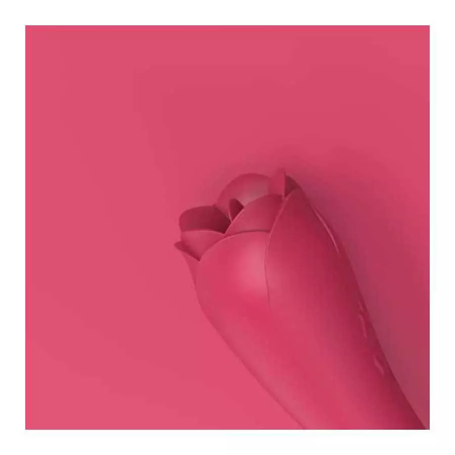 Rose Sex,Rose Toy Vibrator for Women,Tongue Licking Mini Clitoral Vibrator Stimulator with 9 Vibrating Pleasure for Clitoris & N