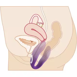 Rechargeable 12-Frequency U-Shaped Vibrator Wearing Vibrator Couple Sex G-spot-Purple Rechargeable 12-Frequency U-Shaped Vibrator Wearing Vibrator Couple Sex G-spot-Purple