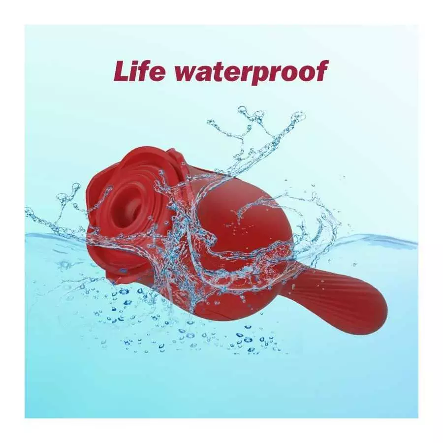 Rose Vibrator, 2 in 1 Rechargeable G Spot Clitoris Stimulator Vibrator, with 10 Vibrations and 10 Frequencies Sucking, Ultra Sof