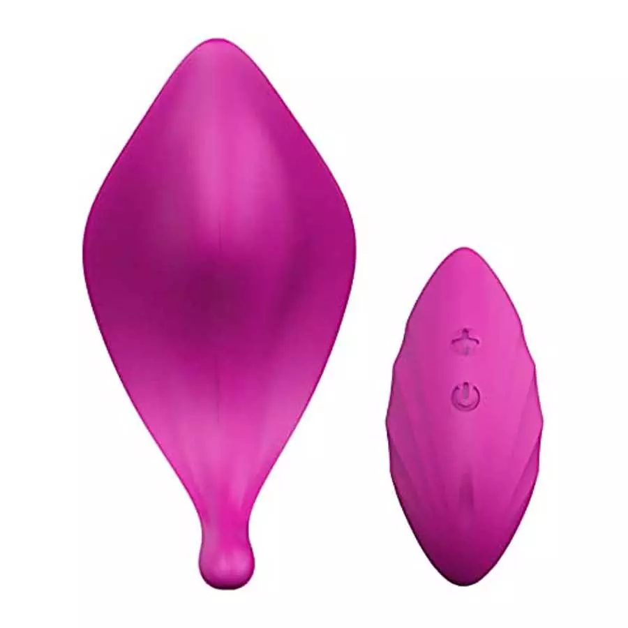 Remote Vibrator, G-Spot Vibrator (Purple)