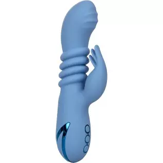 CalExotics California Dreaming® Santa Cruz 'Coaster